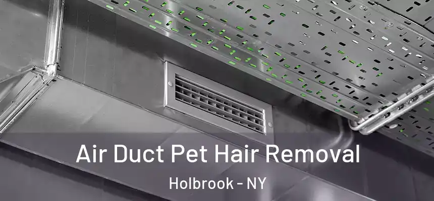 Air Duct Pet Hair Removal Holbrook - NY