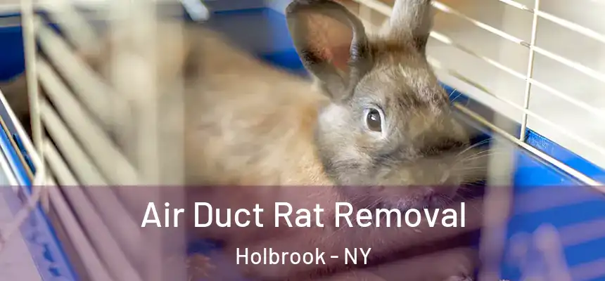  Air Duct Rat Removal Holbrook - NY
