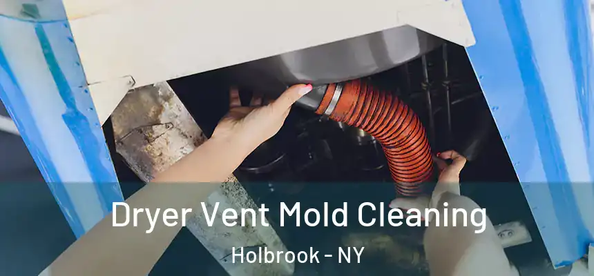  Dryer Vent Mold Cleaning Holbrook - NY