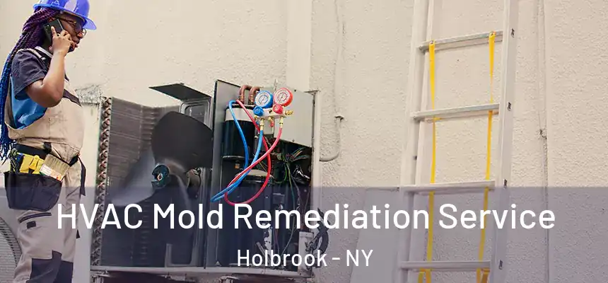  HVAC Mold Remediation Service Holbrook - NY