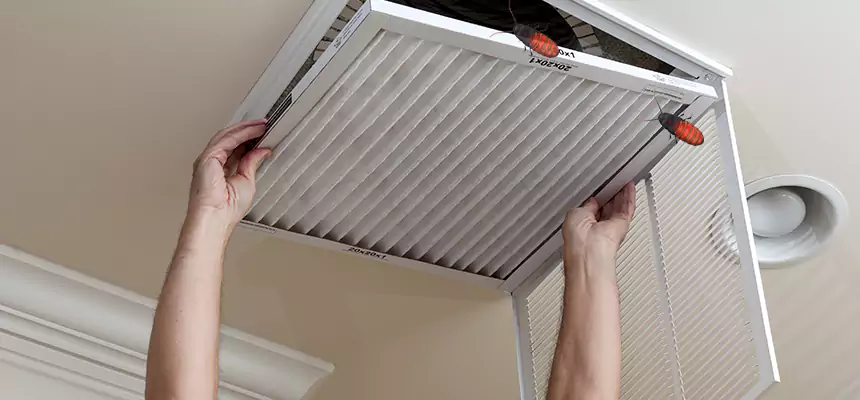 Preventive Cockroach-Proofing for Ducts in Holbrook