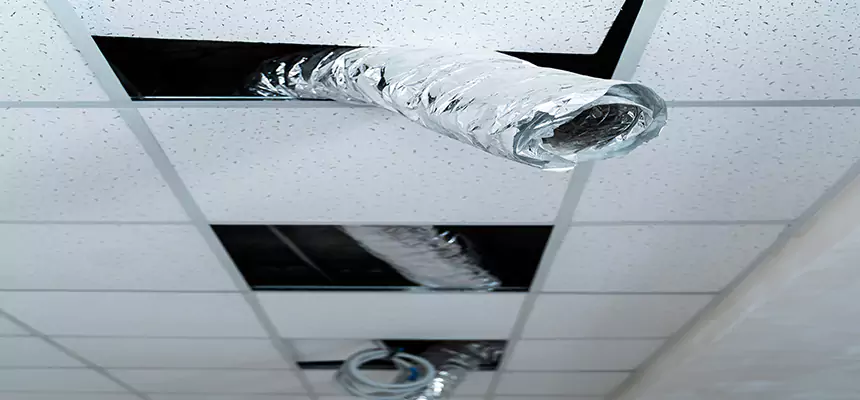 Affordable HVAC Sanitizing After Pest Removal in Holbrook