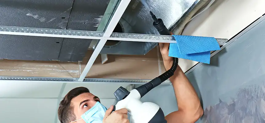 Our Air Duct Rodent Removal Services in Holbrook, NY