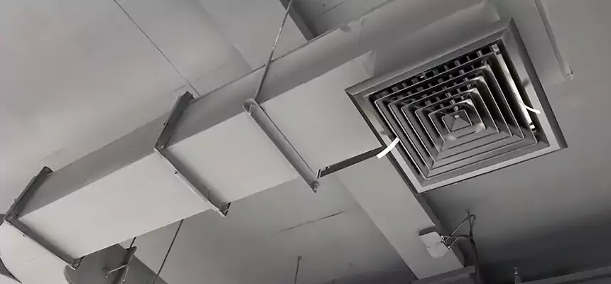 Restorative Allergy Relief Vent Cleaning – Coil, Blower & Housing Detail in Holbrook