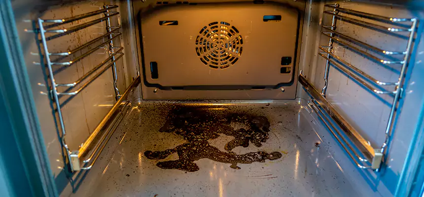 Our Dryer Vent Mold Cleaning Services in Holbrook, NY