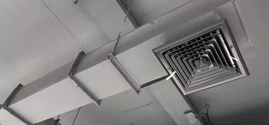 Our Rodent Droppings In Vents Services in Holbrook, NY