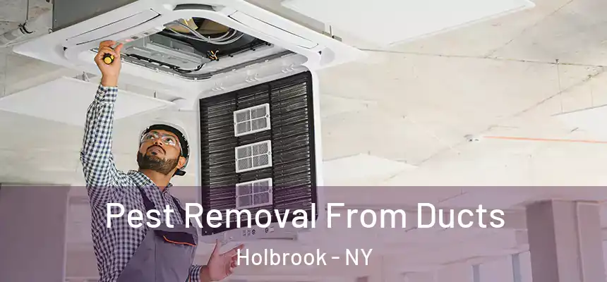  Pest Removal From Ducts Holbrook - NY
