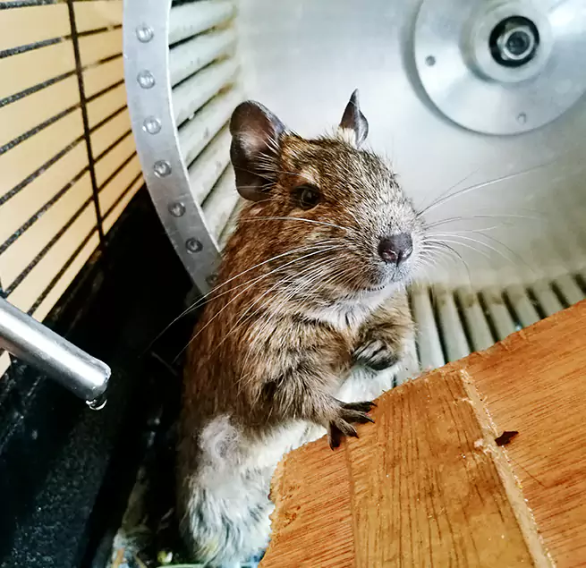 Why Homeowners & Businesses Trust Us Holbrook, NY?