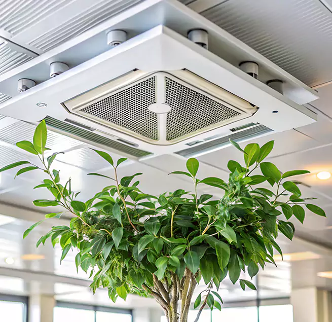 Why Homeowners & Businesses Trust Us in Holbrook, NY?