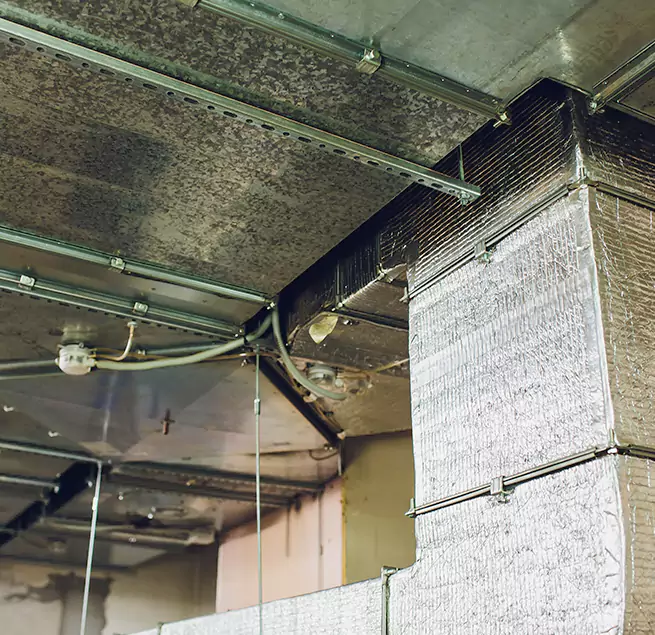 Why Homeowners & Businesses Trust Us in Holbrook, NY?