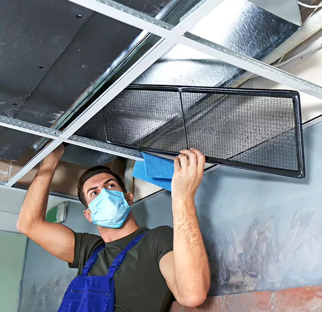 Why Homeowners & Businesses Trust Us in Holbrook, NY?